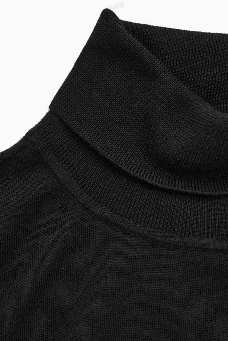 COS Merino Wolle Roll-Neck Jumper Pullover Damen | 3692-ABEUQ