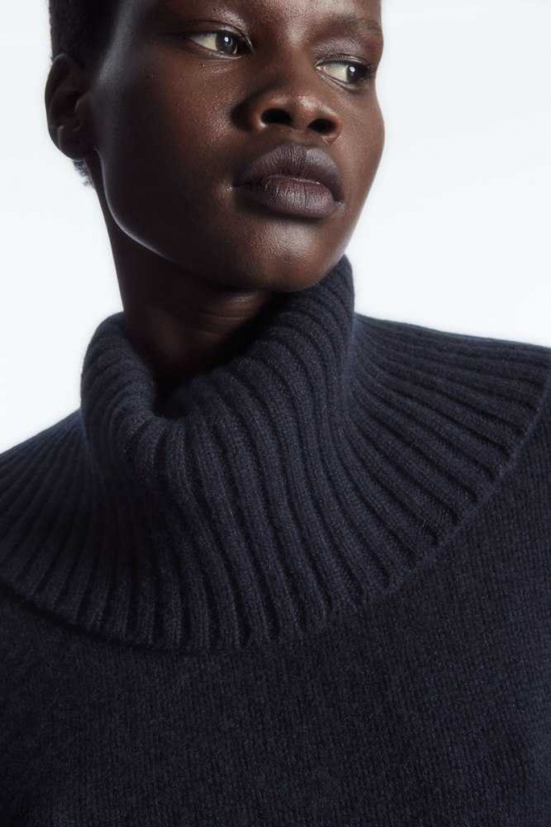 COS Oversized Pure Cashmere Roll-Neck Jumper Pullover Damen | 8539-NYDUX