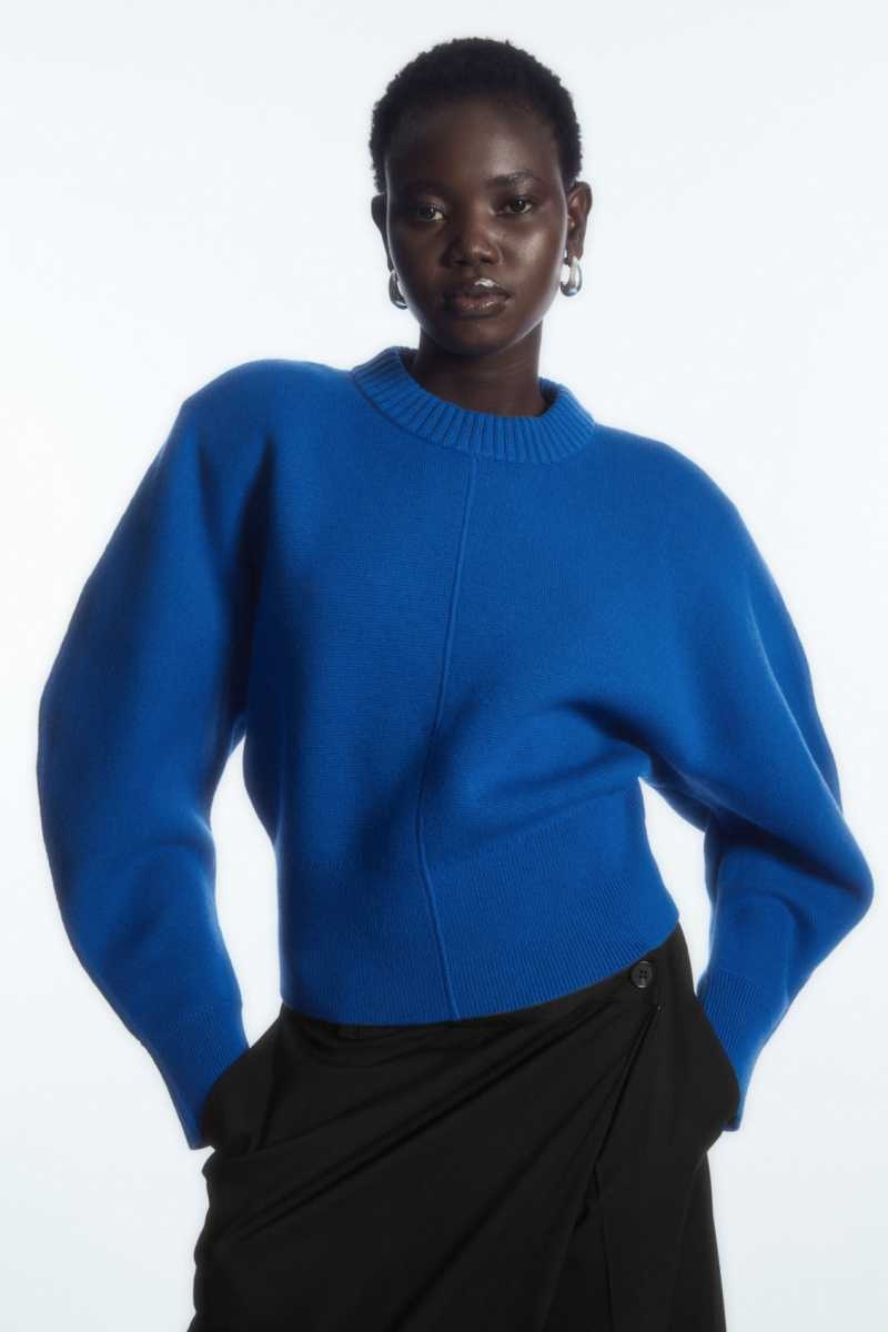 COS Power-Shoulder Waisted Pullover Damen Hellblau | 3095-BYHSZ