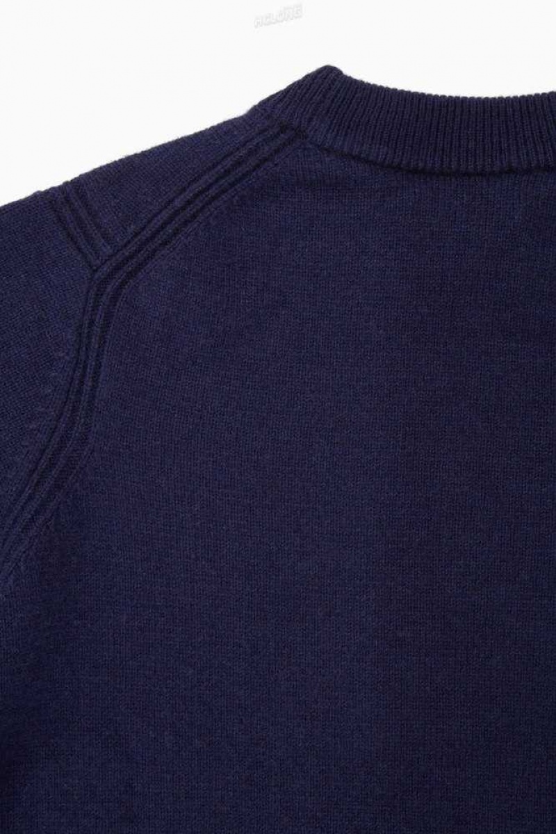 COS Pure Cashmere Jumper Strickwaren Damen | 2589-GWUET