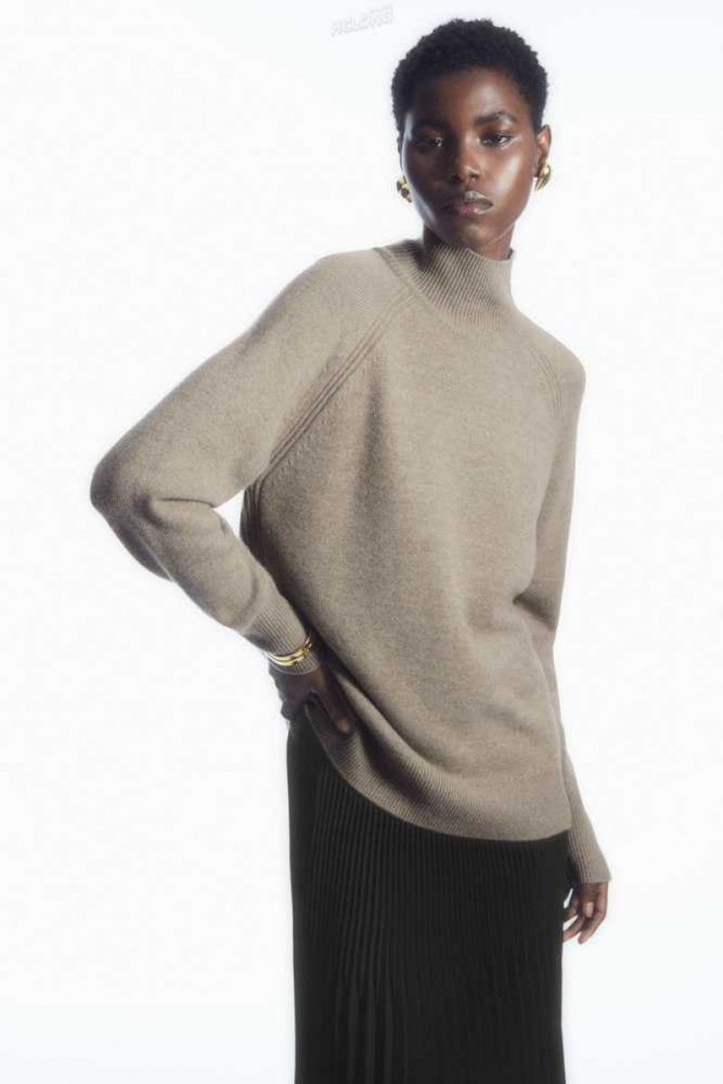 COS Pure Cashmere Turtleneck Jumper Strickwaren Damen | 8369-IRXDS