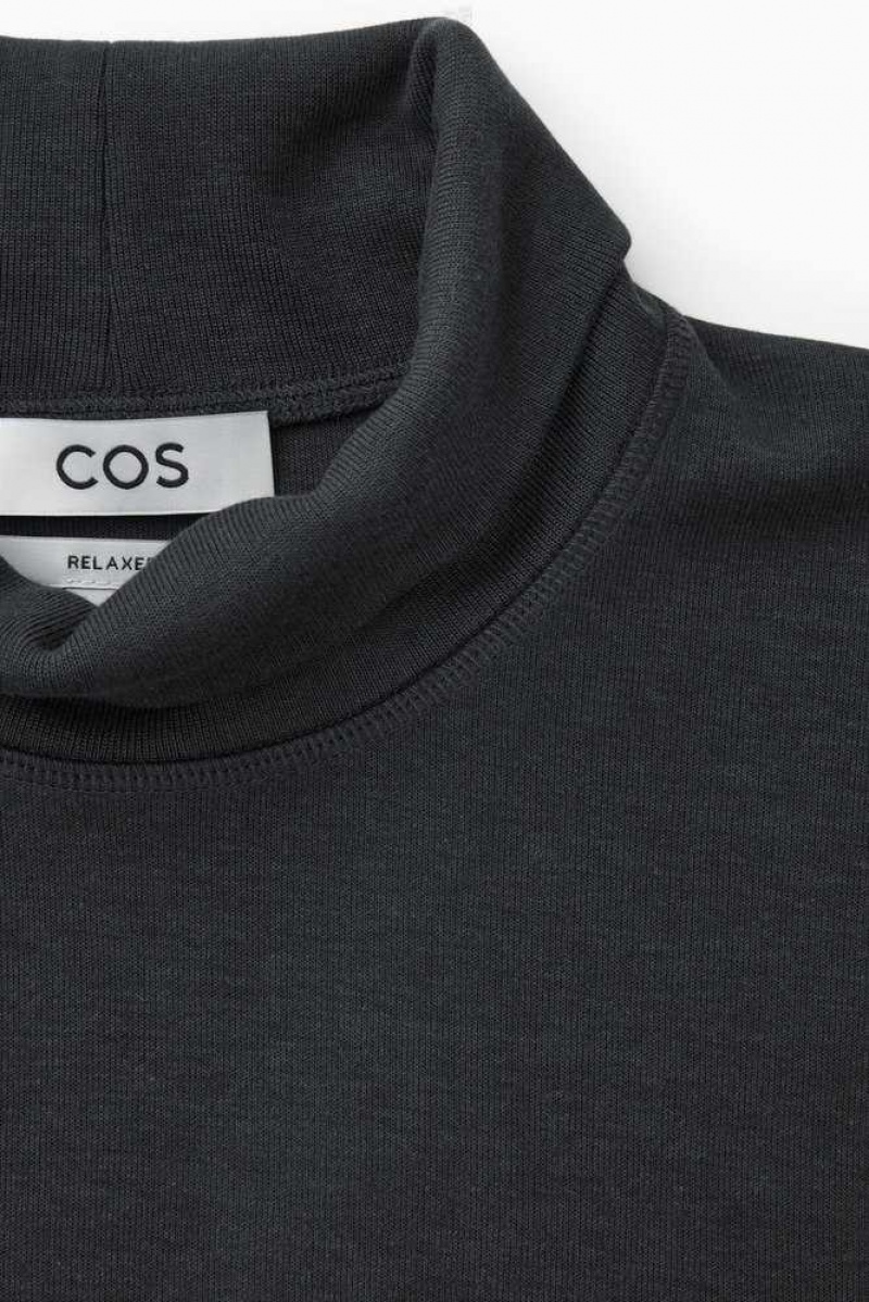 COS Turtleneck Sweatshirt Strickwaren Herren | 4786-QCYBO